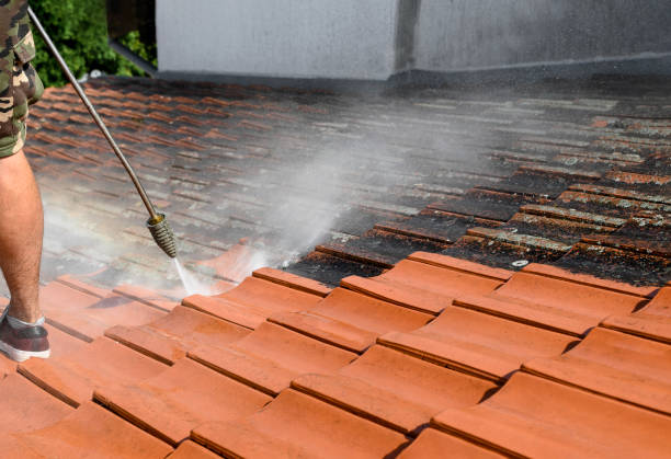 Best Best Pressure Washing Companies  in Bexley, OH